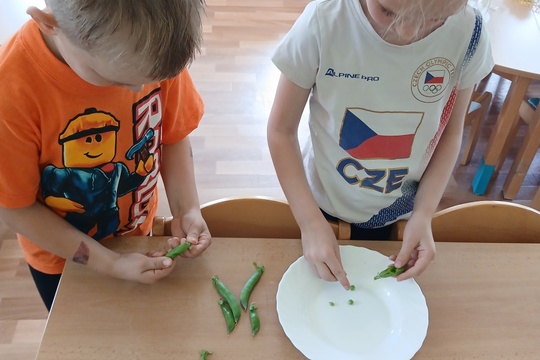 Předprázdninová sklizeň 1
