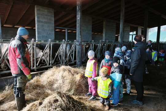 Za telátky, kůzlaty a pilnými včelkami Za telátky, kůzlaty a pilnými včelkami 1