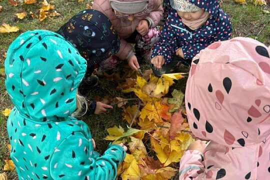 Svět kolem nás Svět kolem nás 1