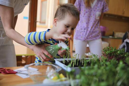 Pěstování microgreens ve stacionáři 1