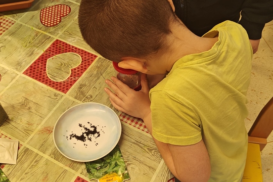 Bylinková radost v naší školce 1