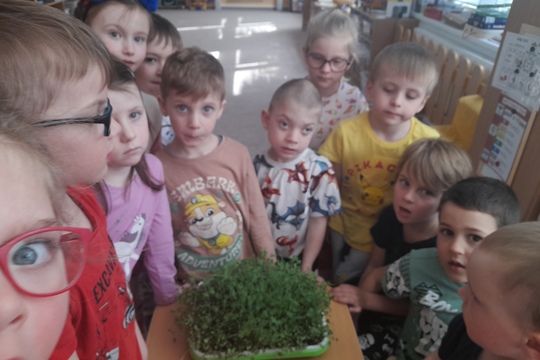 Slané mufffinky s trochou zeleninky 1