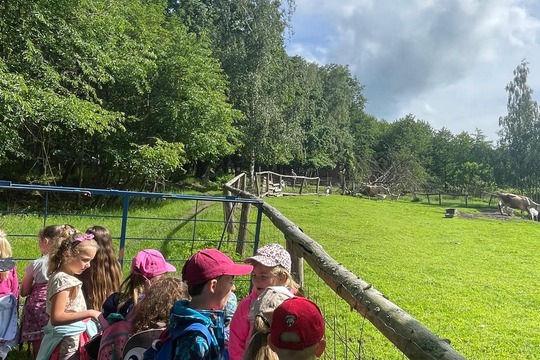 SKUTEČNĚ ZDRAVÁ PARTA  1