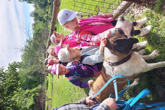Výlet na farmu Drmaly 1