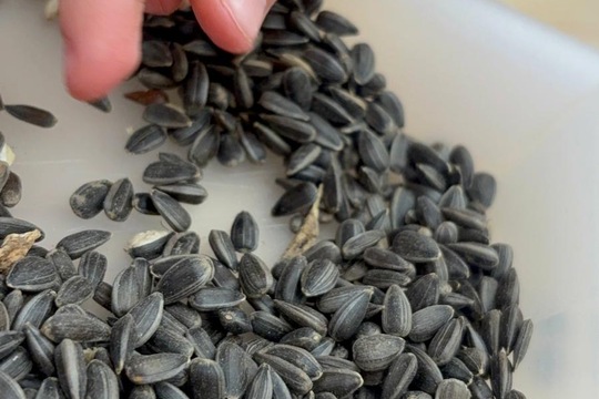 Vnímáme přírodu  1