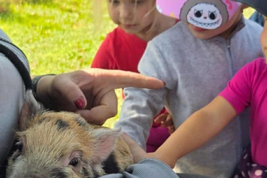 Farmářské dopoledne a posvícení na svatého Matouše v Dobroměřicích  1