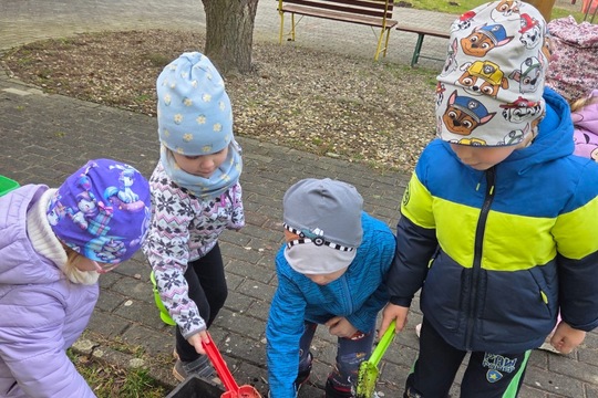 Berušky MŠ Kollárova - sázení kytiček 1