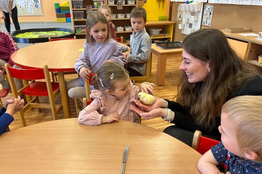 Jarní zázrak: líhnutí kuřátek v naší školce 1