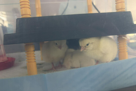 Co je u nás nového? 1