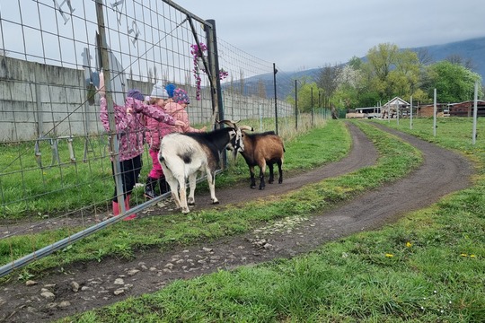 Ježečci z MŠ Soběchleby - Máme rádi zvířata  1