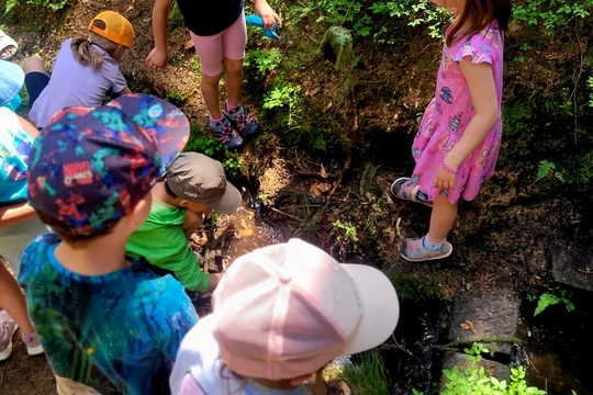 Otvírání studánek v srdci skal 1