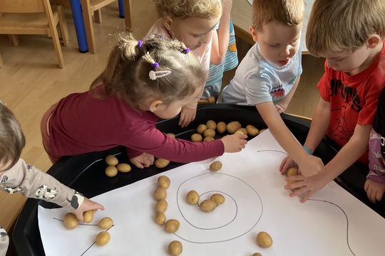 Brambory - Berušky 1