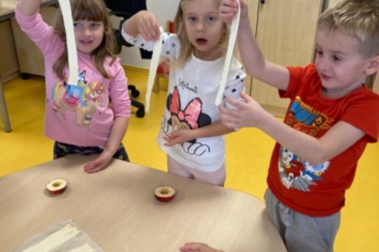 Svatomartinská jablíčka u Veverek 1