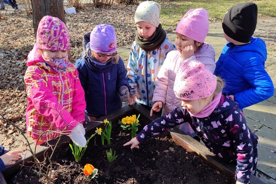JARNÍ SÁZENÍ NA NAŠÍ ZAHRADĚ 1