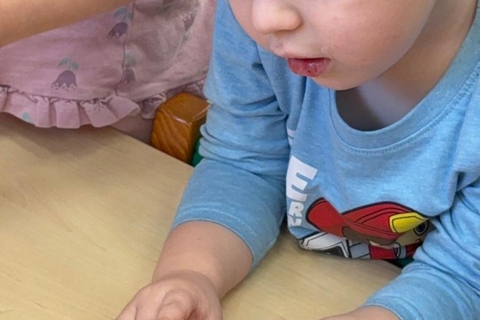 Ovoce a naše smysly  1