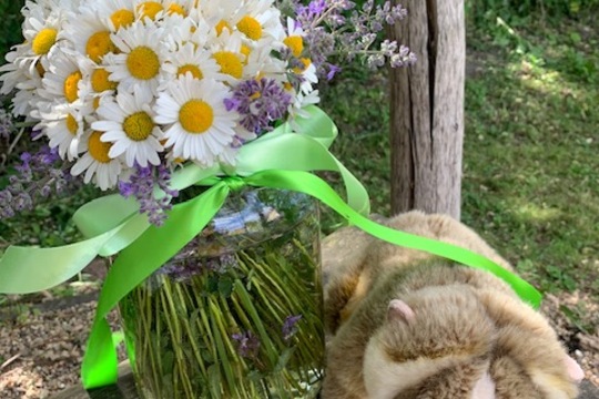 Rodinný výlet do ZOO Benátky Rodinný výlet do ZOO Benátky 1