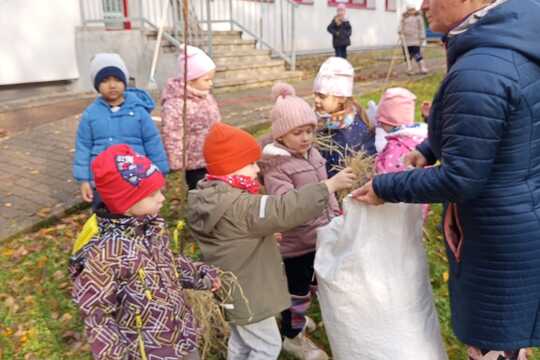 Příprava zahrady na zimu. 1