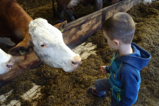 Navštívili jsme místní Ekofarmu Javorník 1