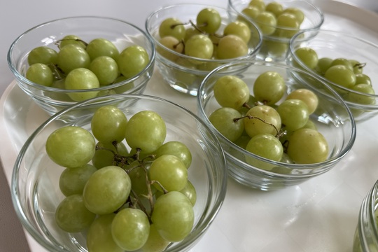 Když jaro dorazí i na talíř Když jaro dorazí i na talíř 1