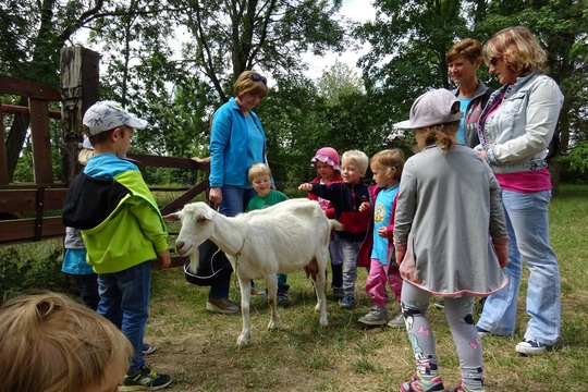 Návštěva kozí farmy v Lozicích u Luže 1