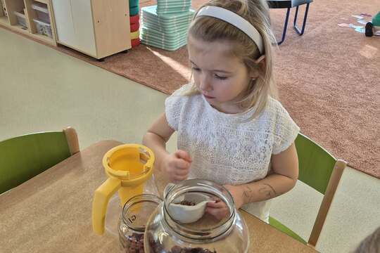 Připravujeme si bylinkový čaj  1