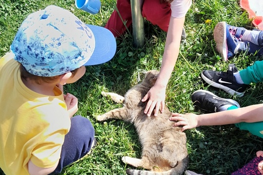 Udělali jsme si sami mufinky na výlet na farmu 1