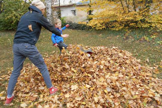 Pomáháme zahradě připravit se na zimu 1