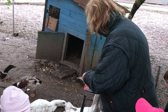 Farma s domácími zvířaty – Duběnka 1