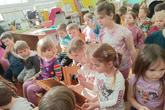 Včelky u medvídků 1