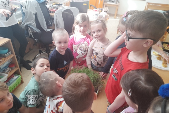 Slané mufffinky s trochou zeleninky 1