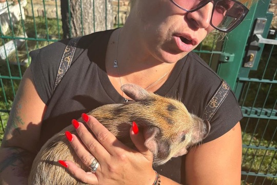 U kamarádů na farmářském dopoledni 1