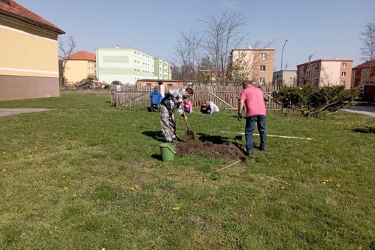 Sázíme stromy, keře a byliny na školní zahradě 1