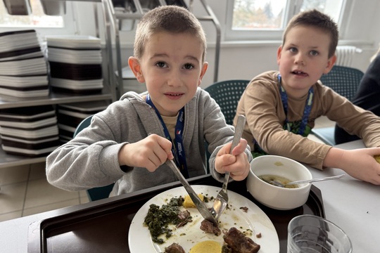 Audit plýtvání jídlem: učíme se jíst s respektem 1