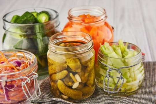 Fermentace potravin a její využití ve školním stravování