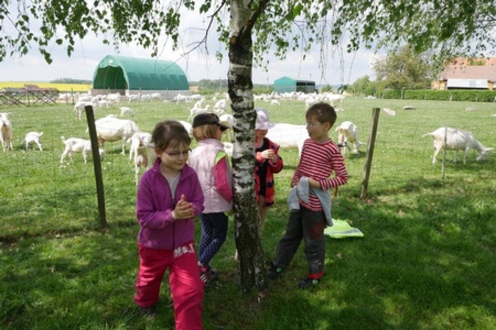 Škola v přírodě na farmě - ukázkový vzdělávací program