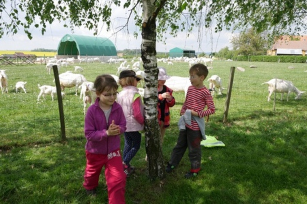 Škola v přírodě na farmě - ukázkový vzdělávací program Škola v přírodě na farmě - ukázkový vzdělávací program